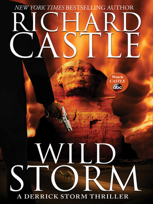 Title details for Wild Storm by Richard Castle - Wait list